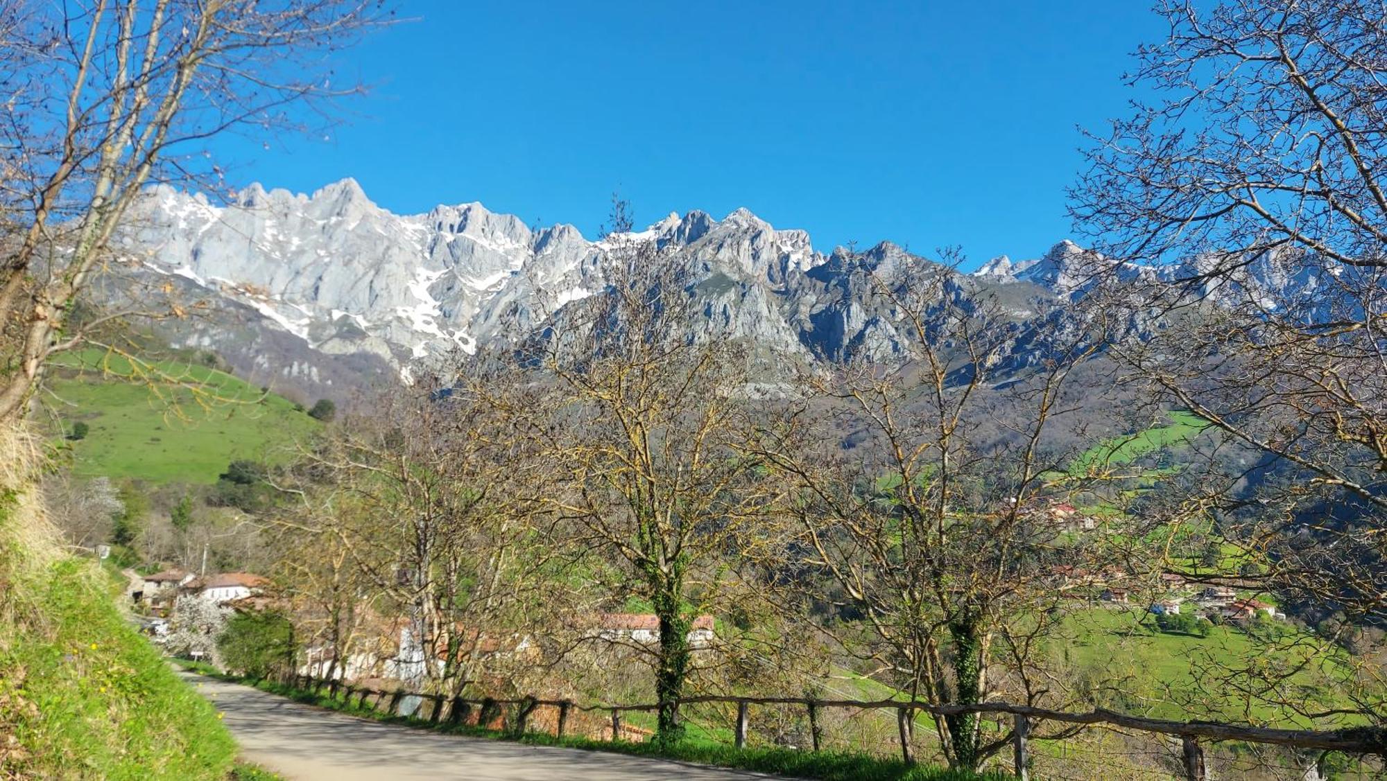 Apartamentos Rurales Los Picos De Redo Camaleño Buitenkant foto