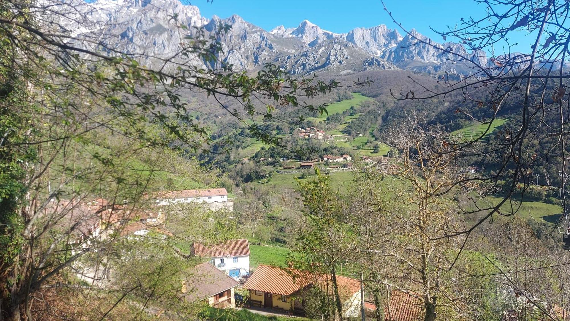 Apartamentos Rurales Los Picos De Redo Camaleño Buitenkant foto